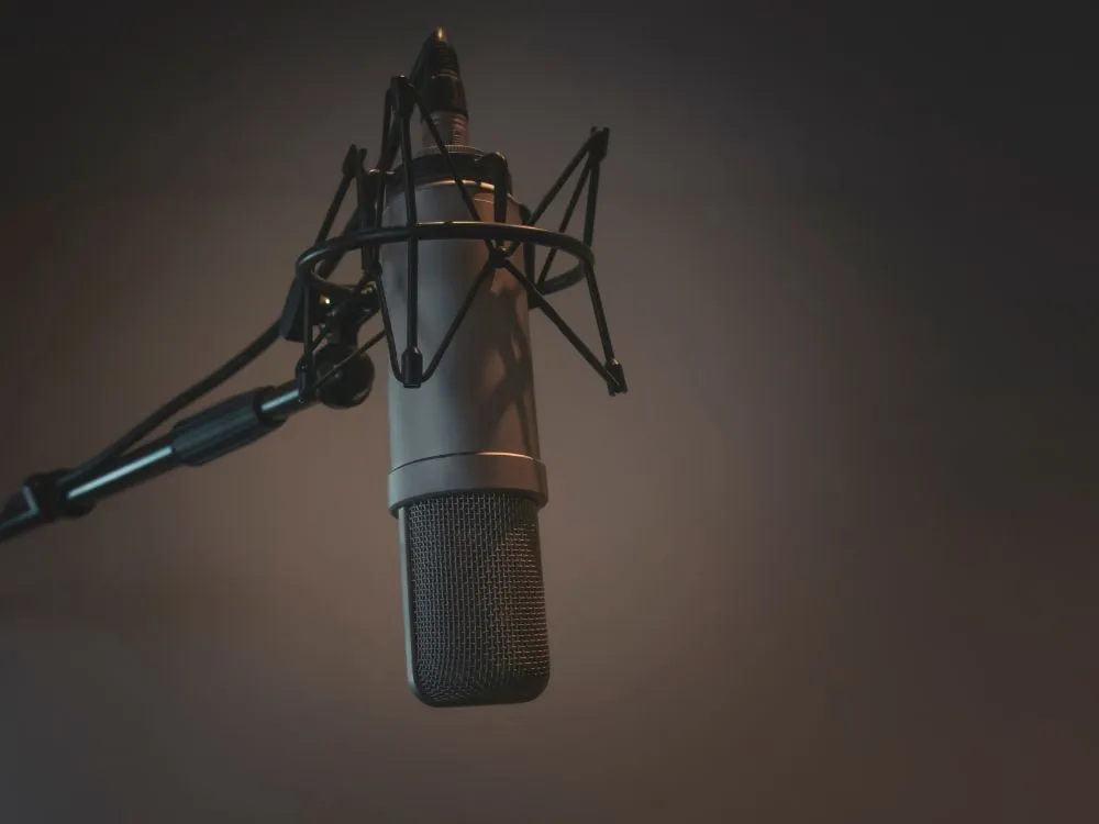 photo du micro bird um1