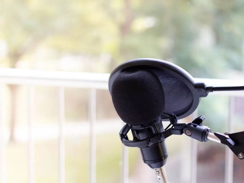 photo du micro neewer nw-700